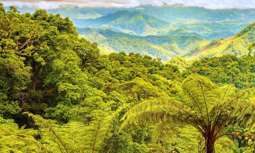 Tạp chí du lịch AFAR của Mỹ: Phong Nha - Kẻ Bàng: Một trong 39 điểm đến năm 2022