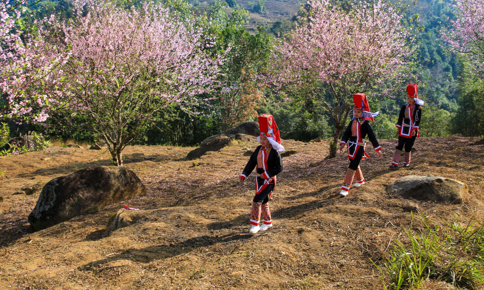 Sắc xuân biên cương