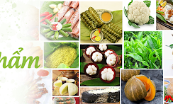 Tiếp tục đẩy mạnh triển khai Chương trình mỗi xã một sản phẩm bảo đảm hiệu quả, thực chất