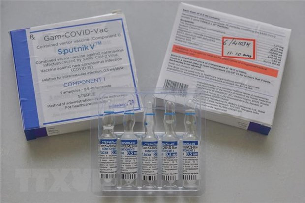 Nga sap luu hanh vaccine ngua COVID-19 Sputnik V dang xit mui hinh anh 1