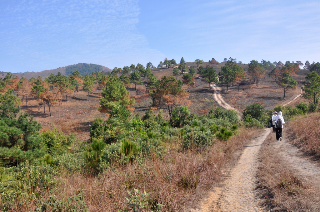 The poetic scenery of Phuong Hoang hill