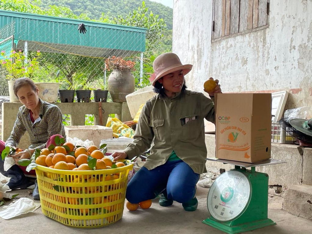 Công nhân HTX Nông trang Vạn Yên, xã Vạn Yên, huyện Vân Đồn đóng gói cam để xuất bán. Ảnh: Cao Quỳnh.