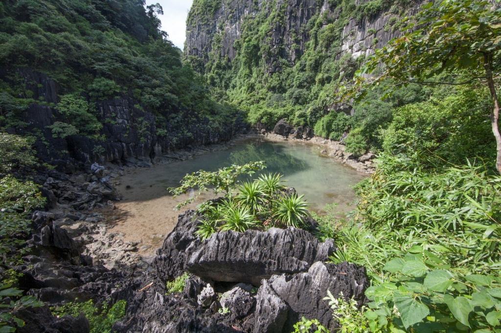 Ang Tien is home to a number of endemic plant and animal species which are typical for Ha Long Bay's arid ecosystem.