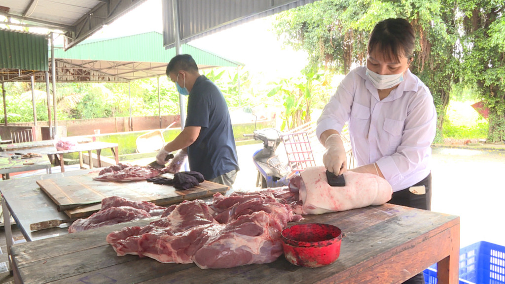 Lợn được kiểm dịch, lăn dấu tại Cơ sở giết mổ tập trung Thái Hòa tại phường Cẩm Thạch, TP Cẩm Phả (ảnh chụp tháng 7-2021). Ảnh Lê Nam