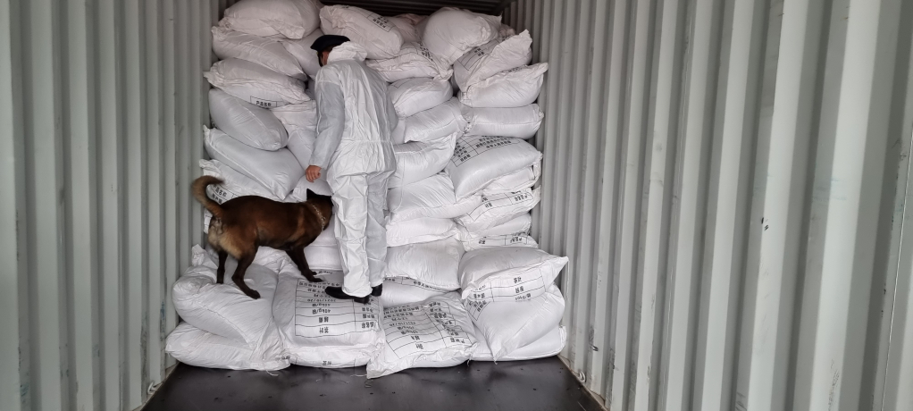 Chi cục Hải quan Cửa khẩu Hoành Mô sử dụng chó nghiệp vụ kiểm tra hàng hoá xuất, nhập khẩu.