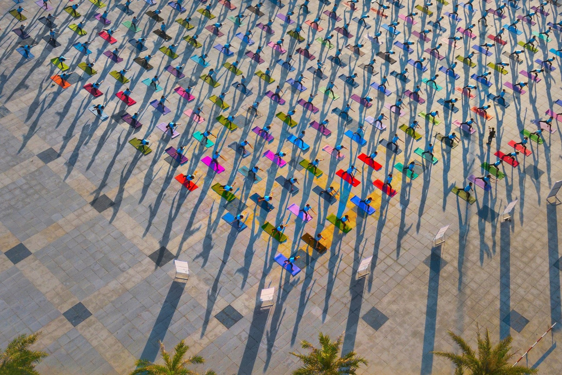 Vietnam’s spring colors dazzle in annual Tet photo contest