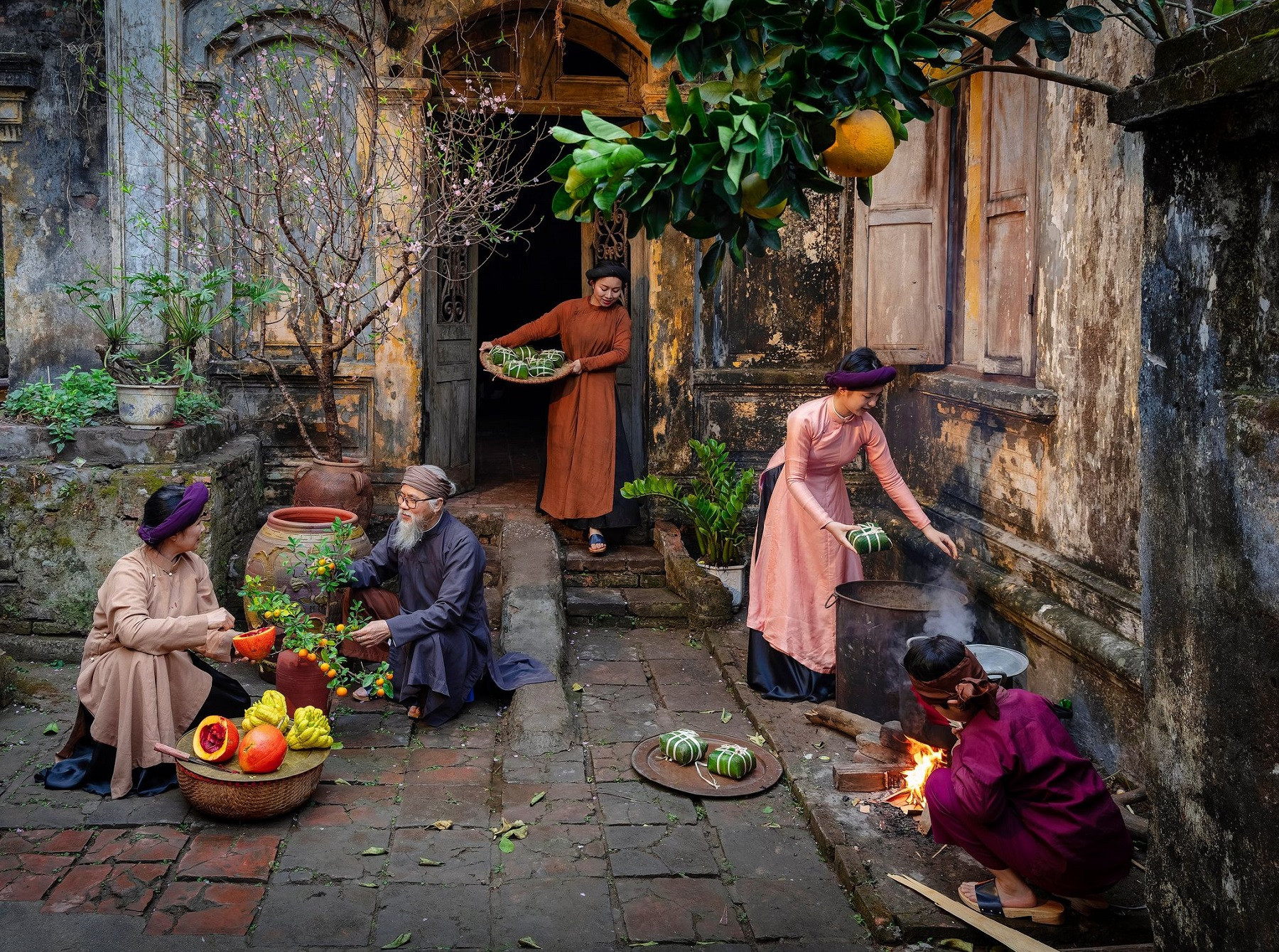 Vietnam’s spring colors dazzle in annual Tet photo contest