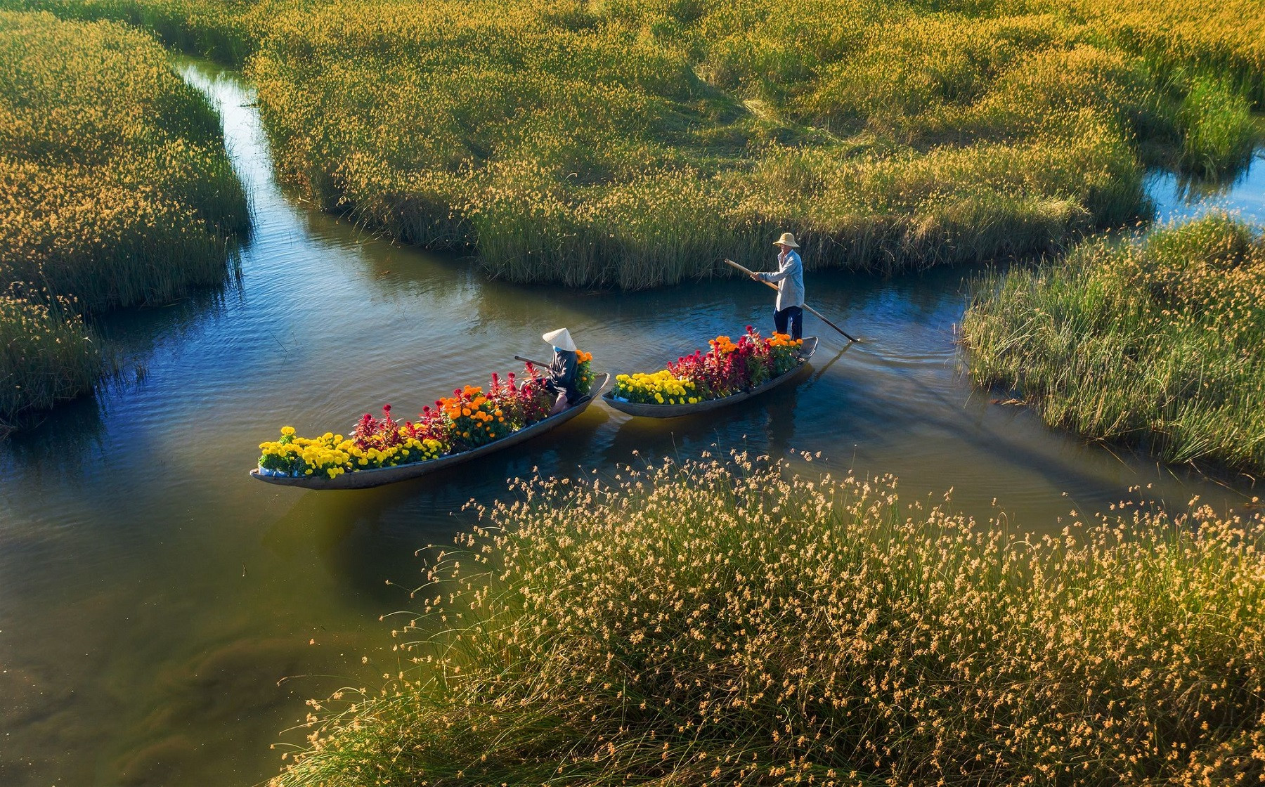 Vietnam’s spring colors dazzle in annual Tet photo contest