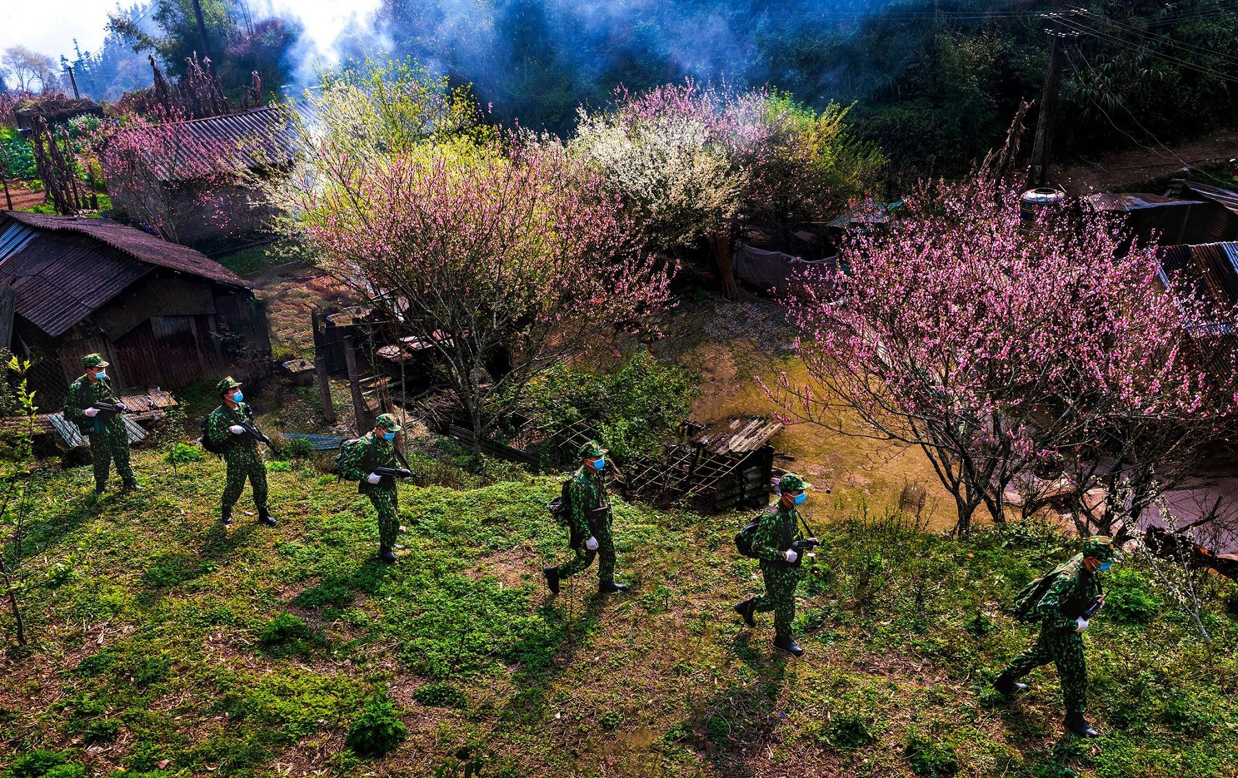 Vietnam’s spring colors dazzle in annual Tet photo contest