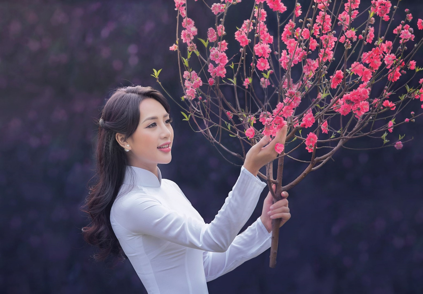 Vietnam’s spring colors dazzle in annual Tet photo contest