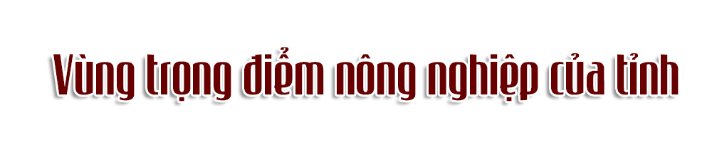 Ảnh trong văn bản