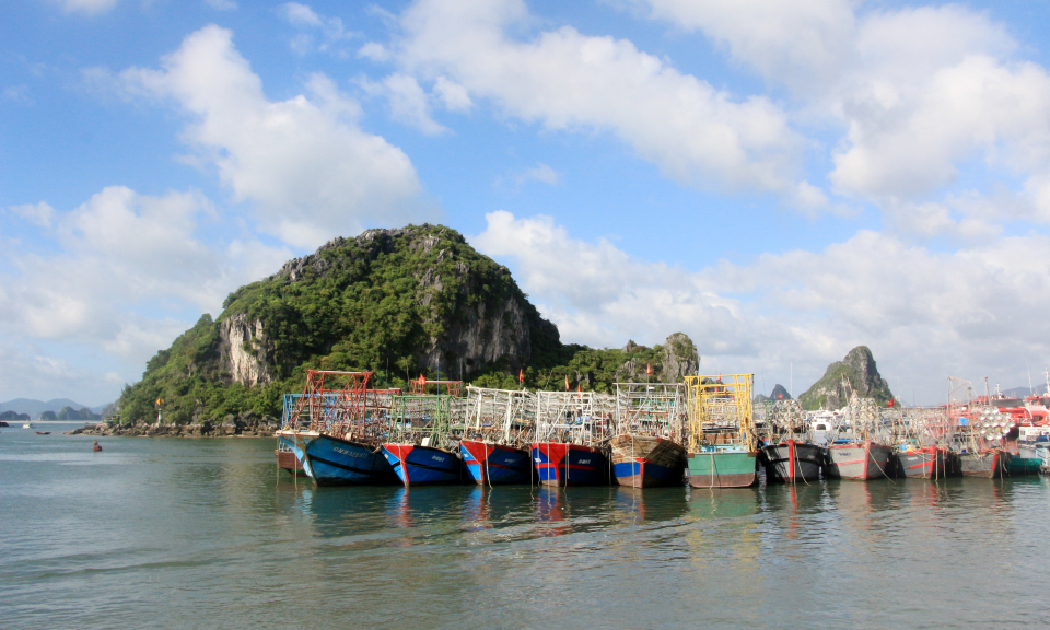 Siết chặt quản lý tàu cá tuyến khơi