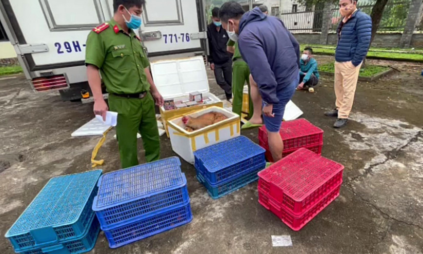 Bắt 2 vụ vận chuyển pháo nổ và động vật hoang dã quy mô lớn