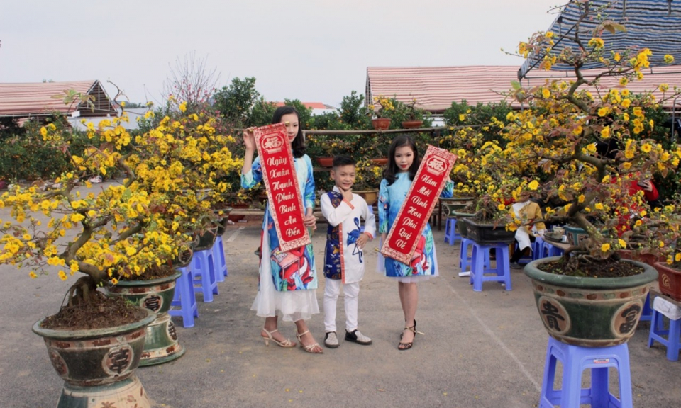 Nhớ xuân biên giới