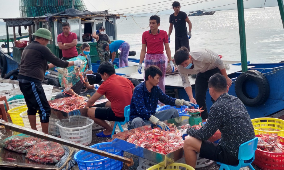 Làm giàu từ biển