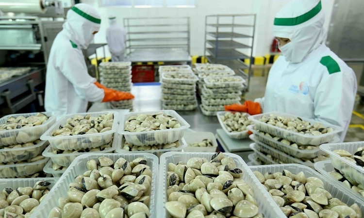 Vietnam-EU trade up 14.8% in 2021