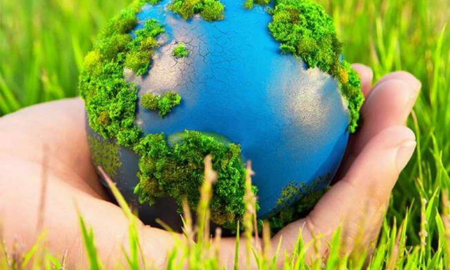 Giảm 50% thuế bảo vệ môi trường đối với nhiên liệu bay
