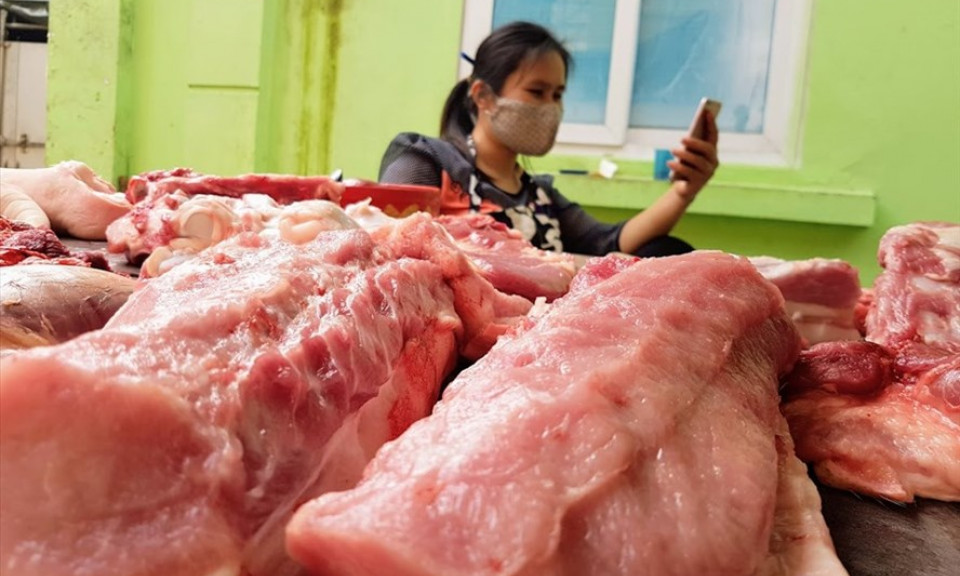 Trong 2 ngày, giá lợn hơi bất ngờ “nhảy 5 bậc”, nguồn cung Tết ổn định