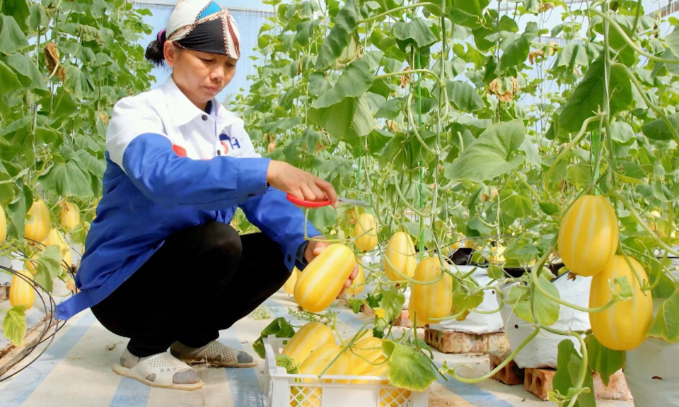 Khẳng định vai trò cấp ủy trong xây dựng NTM