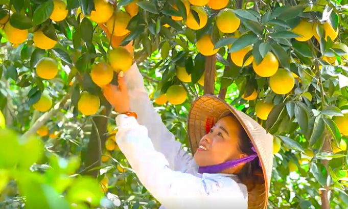 Bản tin vùng Đông Bắc ngày 11/01