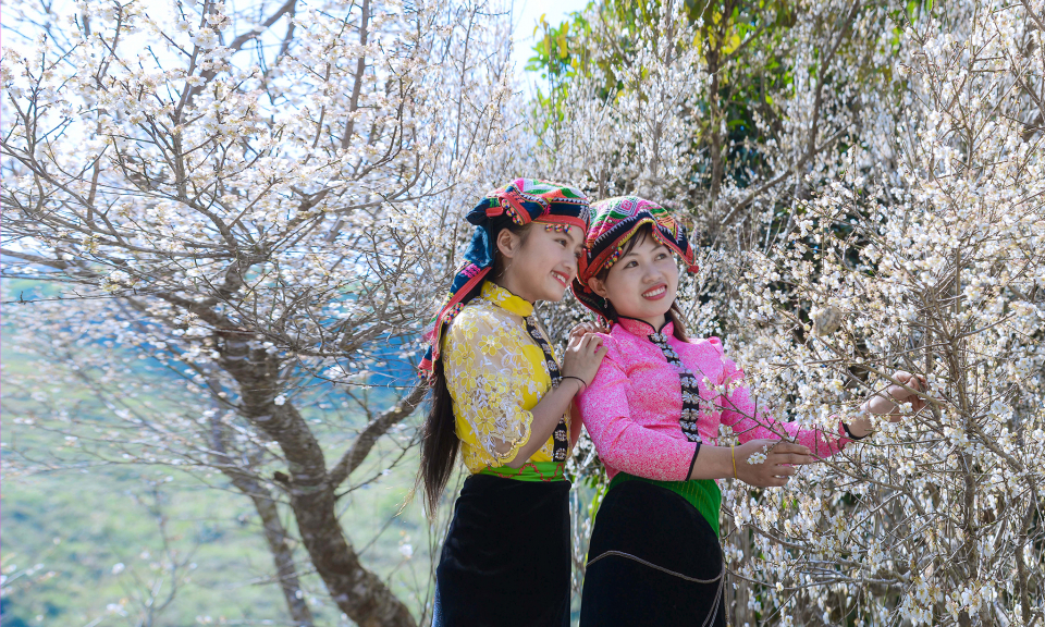 Mùa xuân và Tết 