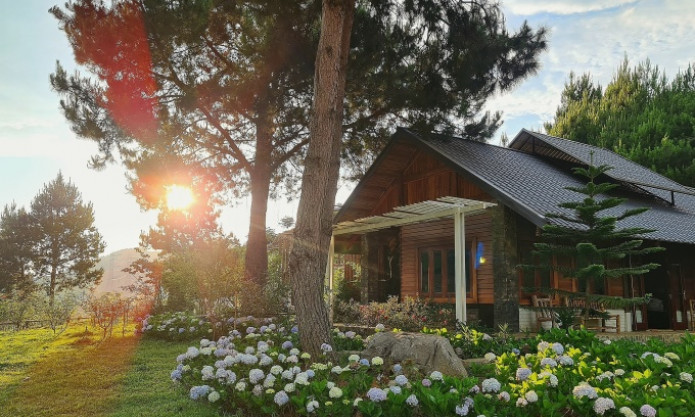 Ăn chơi ở Mộc Châu mùa hoa mận