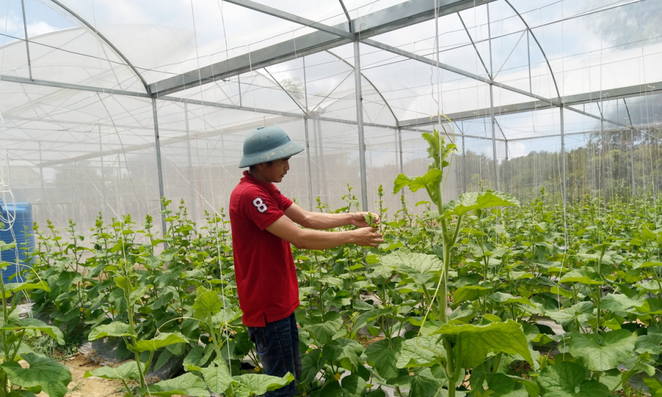 Trương Thế Đô - Tấm gương khởi nghiệp từ quê nhà