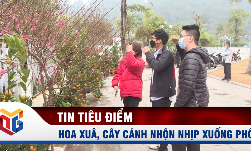 Hoa xuân, cây cảnh nhộn nhịp xuống phố