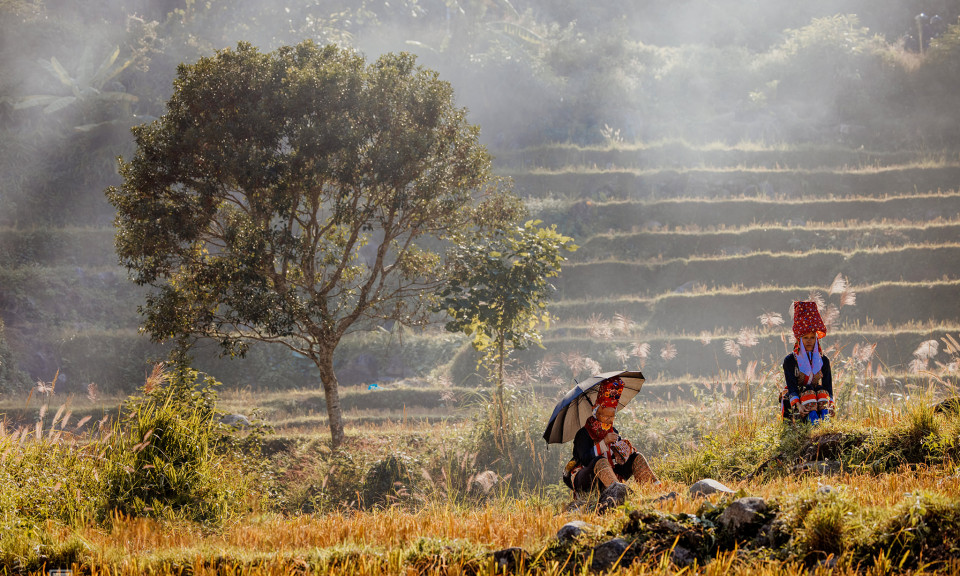 The Dao add cultural colors, flavors to northern mountains