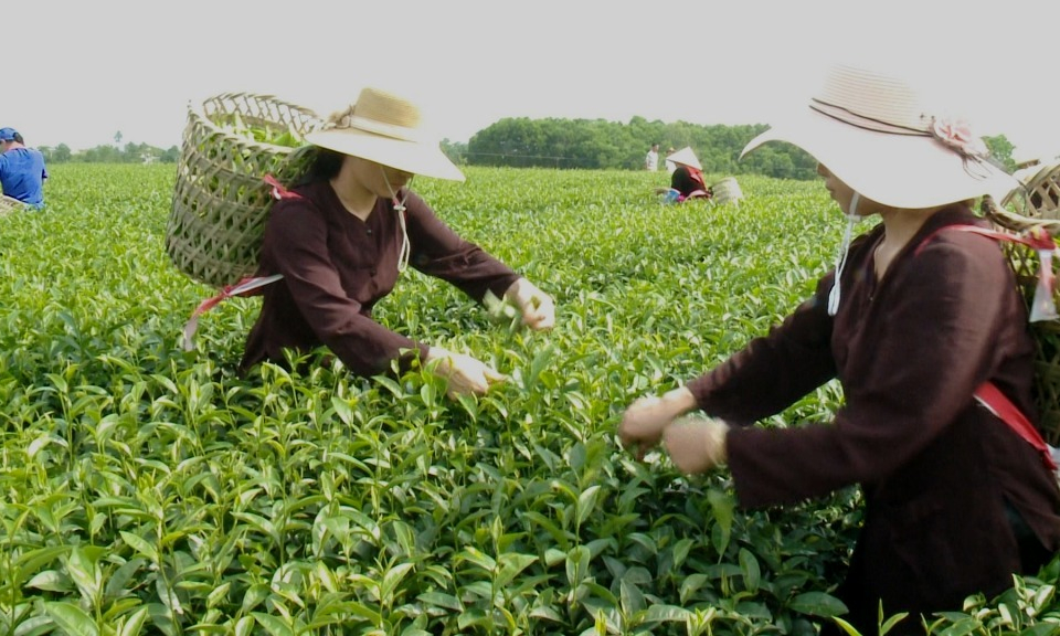 Huy động nguồn lực trong xây dựng nông thôn mới