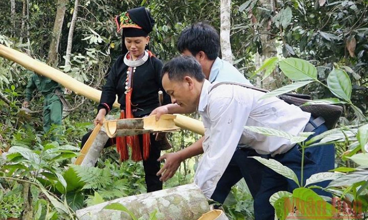 Giai đoạn 2021-2025: Giảm tỷ lệ hộ nghèo theo chuẩn nghèo đa chiều từ 1-1,5% mỗi năm