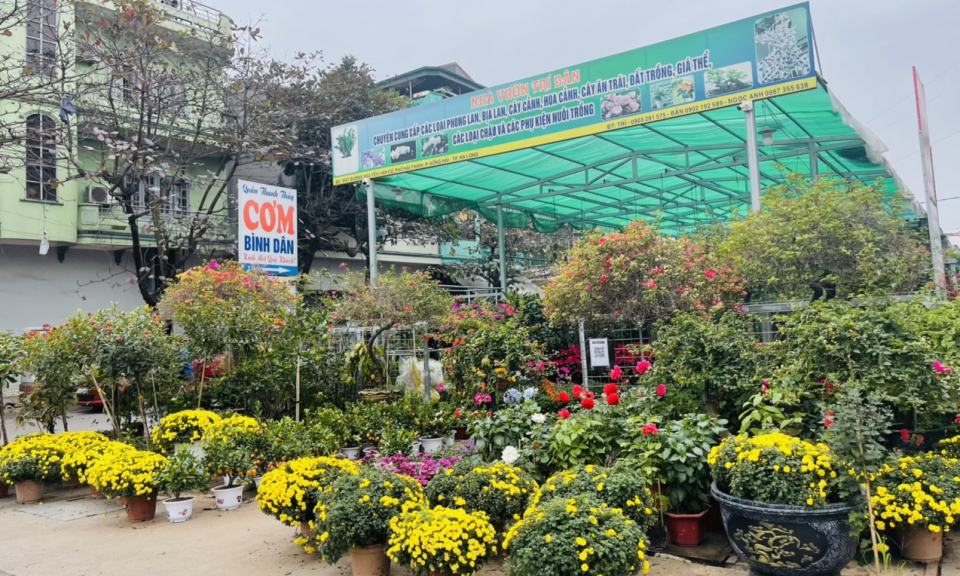 Hàng hoá Tết phong phú, giá cả ổn định