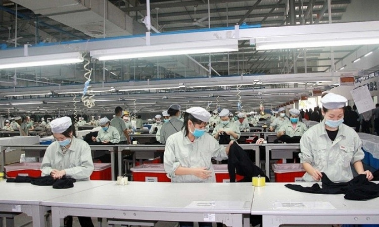 13.000 doanh nghiệp thành lập mới trong tháng đầu tiên năm 2022