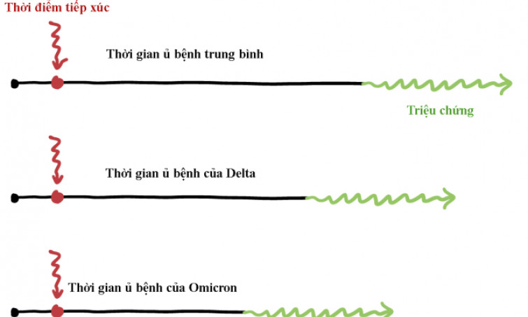 Omicron qua 5 biểu đồ