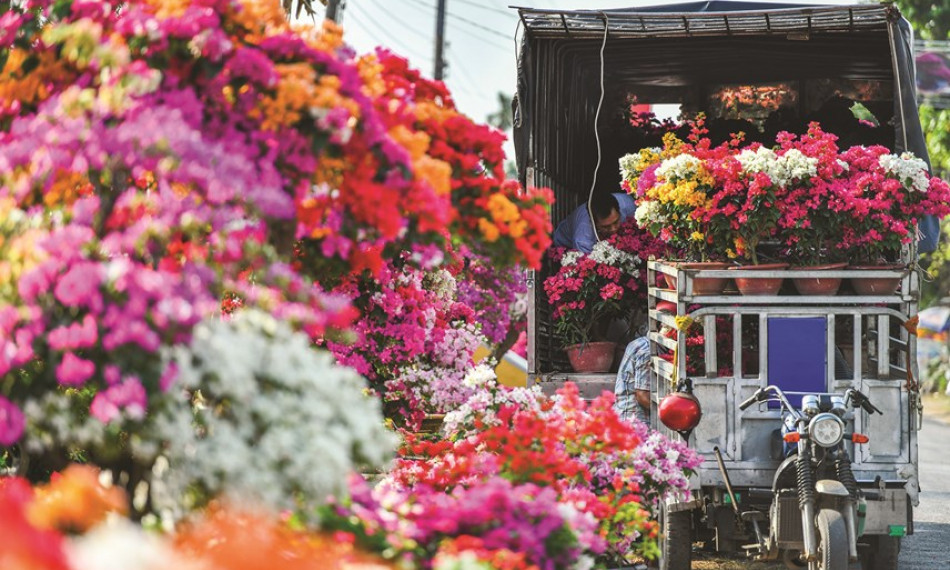 Làng hoa kiểng Chợ Lách