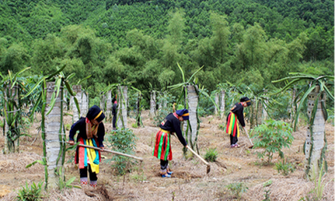 Phát huy vai trò chủ động trong phát triển kinh tế và xây dựng gia đình ấm no, hạnh phúc