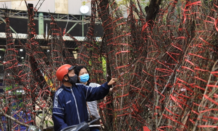 Cold spell to cause temperatures to drop, frost in the north during Tết