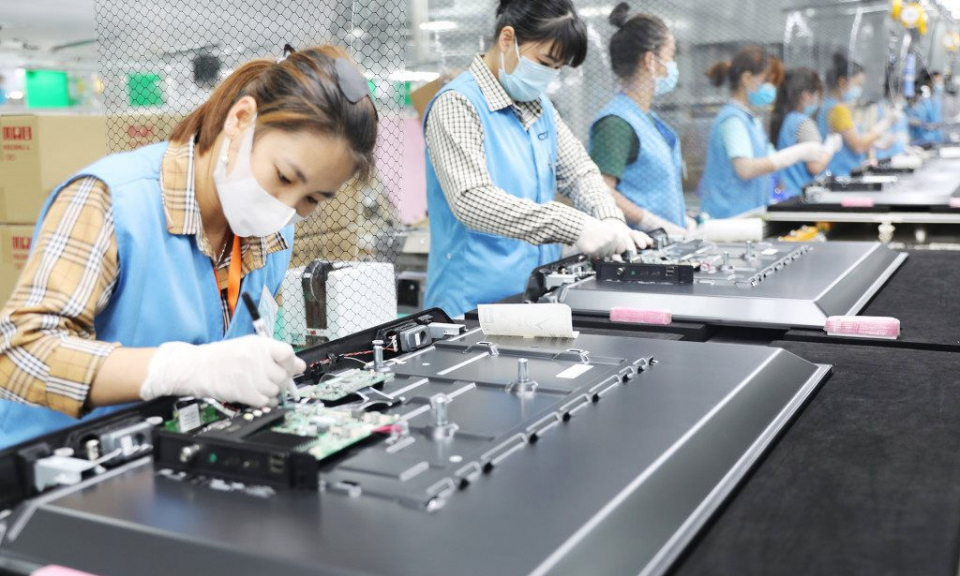 Bản tin vùng Đông Bắc ngày 29/1/2022
