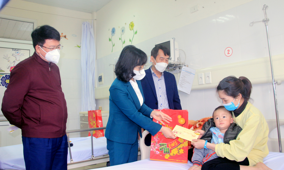 Phó Bí thư Tỉnh ủy Trịnh Thị Minh Thanh thăm, chúc Tết tại Bệnh viện Sản Nhi