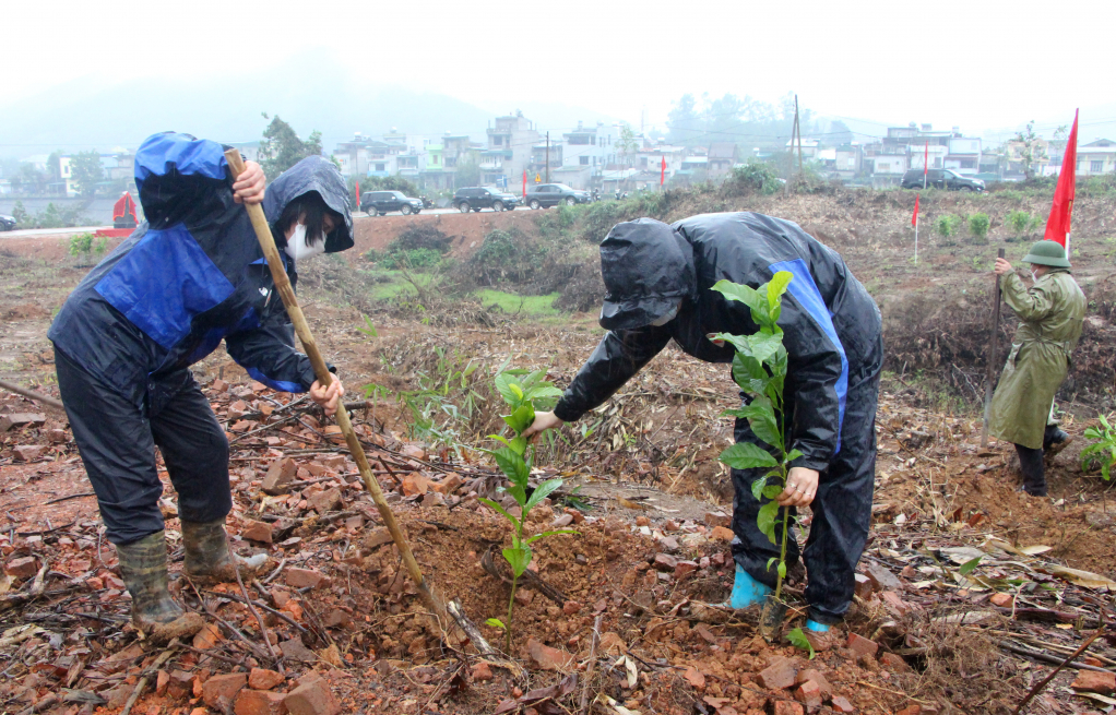 Huyện Ba Chẽ tổ chức Tết trồng cây 2022 nhằm hưởng ứng Tết trồng cây đời đời nhớ ơn Bác Hồ, chương trình trồng 1 tỷ cây xanh do Thủ tướng phát động và trồng 5.000ha lim, dổi, lát trên địa bàn tỉnh.