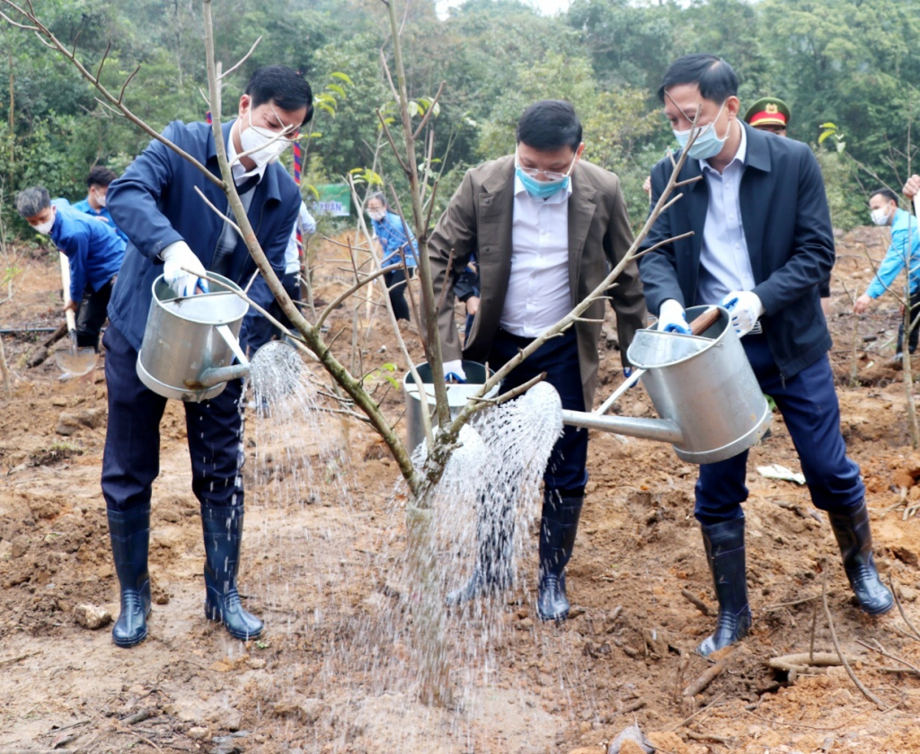 Lãnh đạo TP Uông Bí tham gia trồng cây xanh.