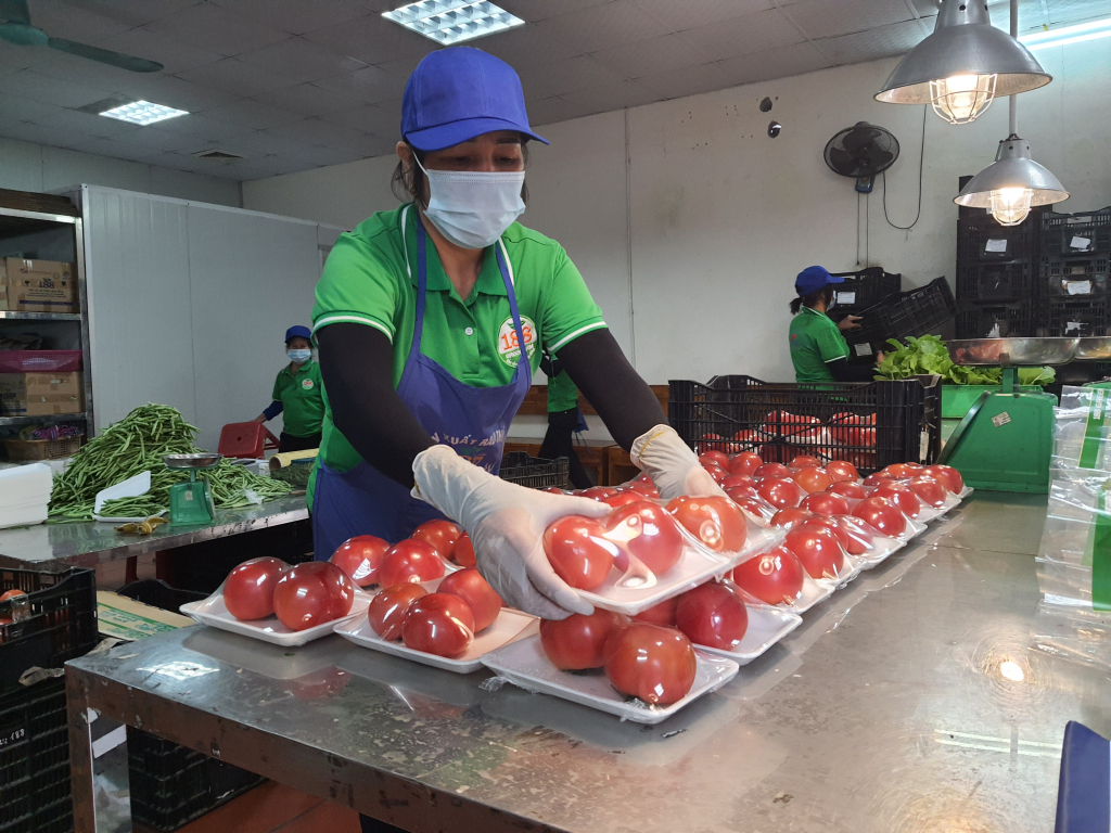 Sản phẩm rau, quả trồng theo phương pháp thủy cảnh của Green Farm 188 Mạo Khê Đông Triều được người tiêu dùng đánh giá cao.
