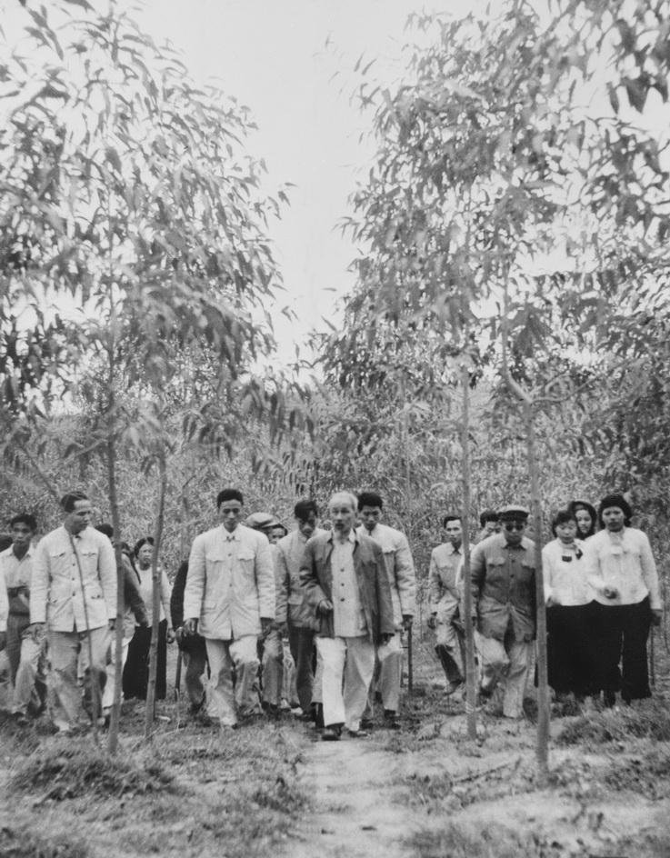 Chủ tịch Hồ Chí Minh thăm Lâm trường Đoan Tĩnh (Móng Cái) ngày 19/2/1960. Ảnh: TTXVN