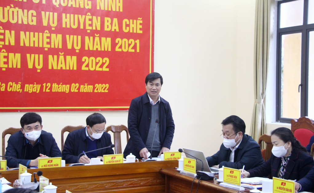 Đồng chí Nguyễn Tường Văn, Phó Bí thư Tỉnh ủy, Chủ tịch UBND tỉnh, phát biểu tại buổi làm việc.