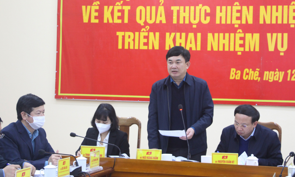 Đồng chí Ngô Hoàng Ngân, Phó Bí thư Thường trực Tỉnh ủy, Trưởng Đoàn ĐBQH tỉnh, phát biểu tại buổi làm việc.