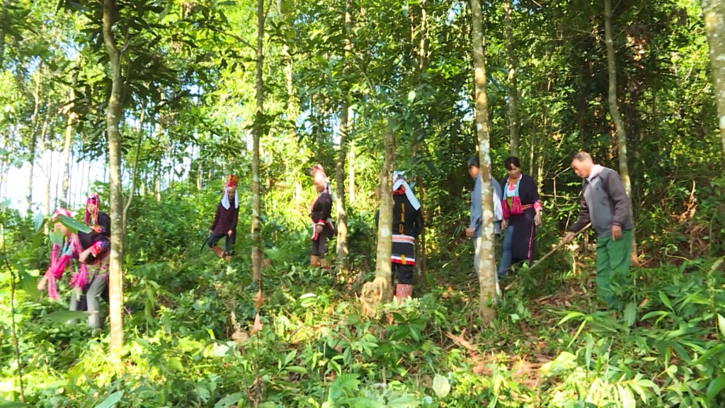 Các địa phương miền Đông tích cực triển khai trồng, chăm sóc rừng cây gỗ lớn ngay từ đầu năm. 