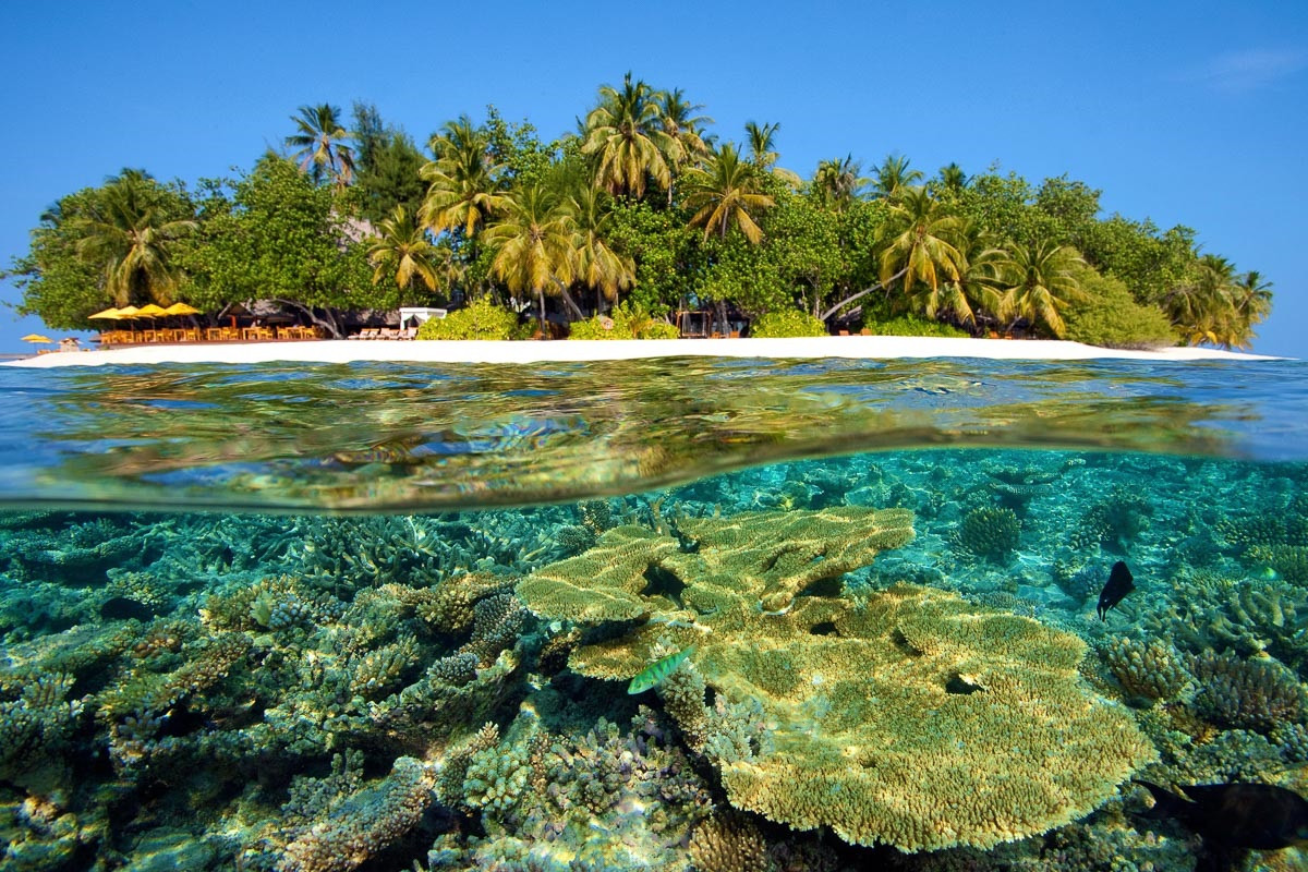 Lạc trôi' đến 5 đảo san hô tuyệt nhất thế giới - Báo Quảng Ninh ...