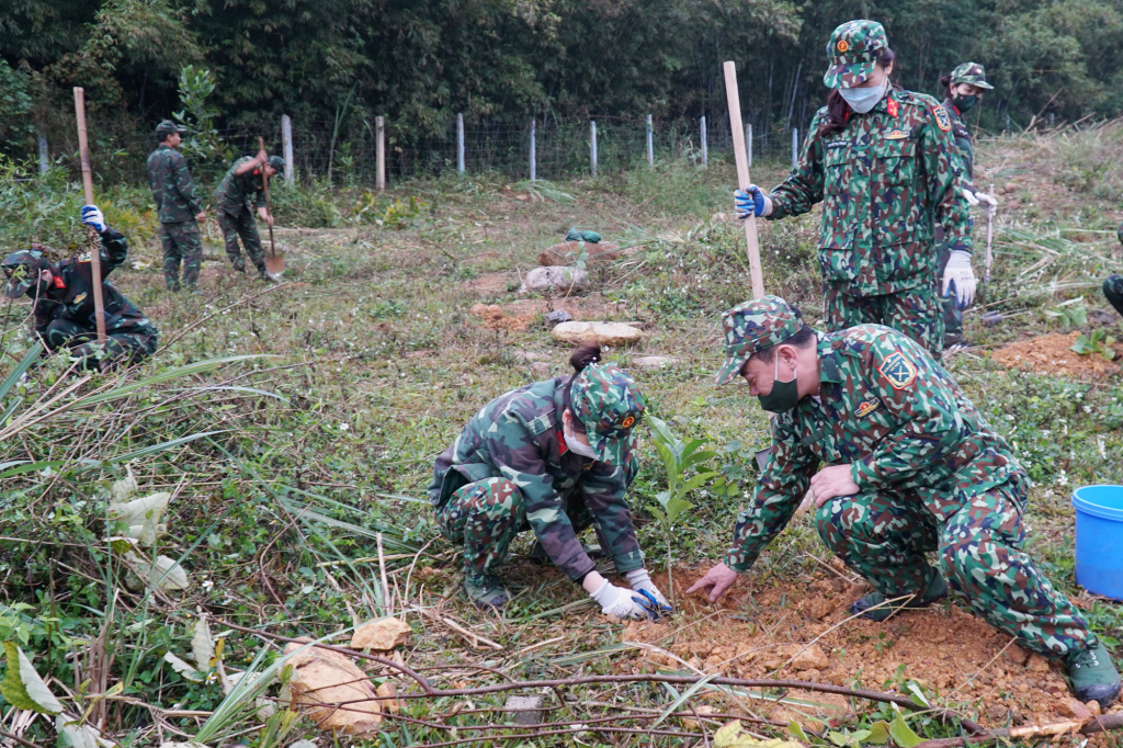 Cán bộ, hội viên Hội Phụ nữ cơ quan Bộ CHQS tỉnh cũng tích cực tham gia trồng rừng.