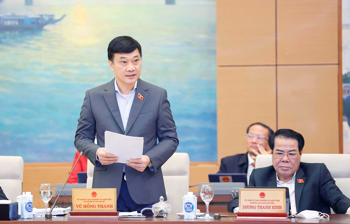 Chủ nhiệm Ủy ban Kinh tế của Quốc hội Vũ Hồng Thanh, Đại diện Đoàn giám sát trình bày báo cáo. (Ảnh: Doãn Tấn/TTXVN)