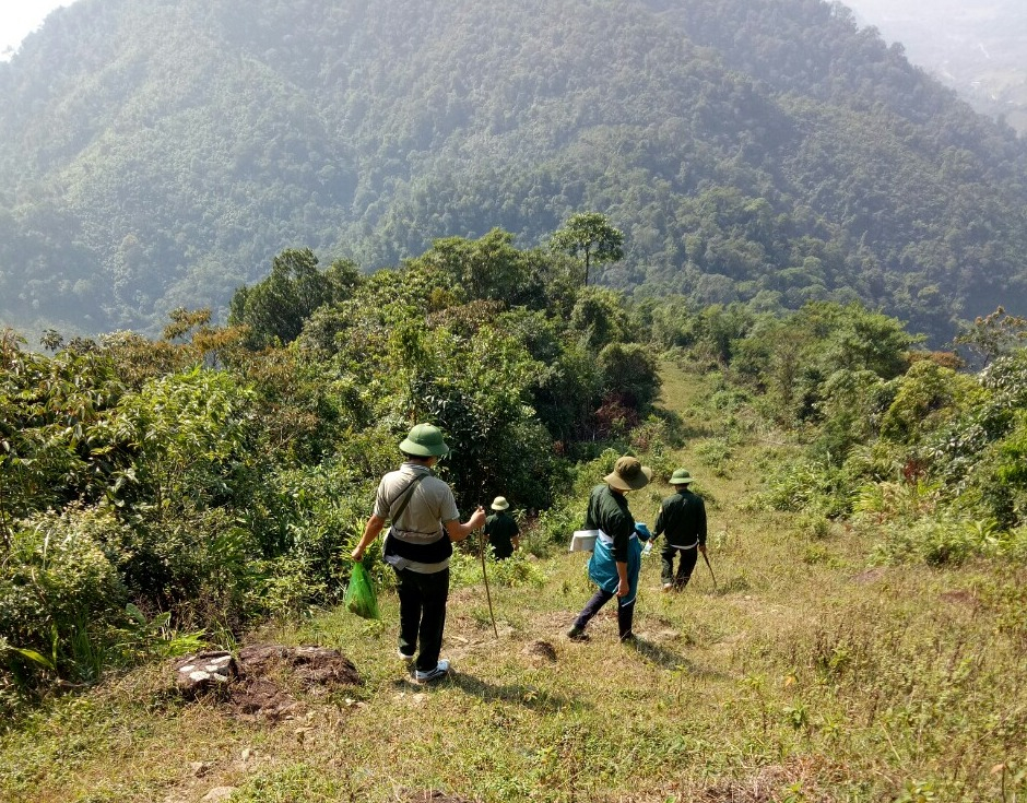 Lực lượng chức năng của huyện Hải Hà tuần tra, bảo vệ rừng.